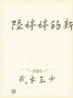 陆婷婷的新故事