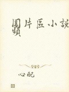 图片区小说区视频