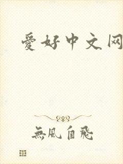爱好中文网