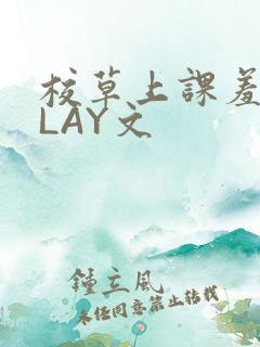 校草上课羞耻PLAY文