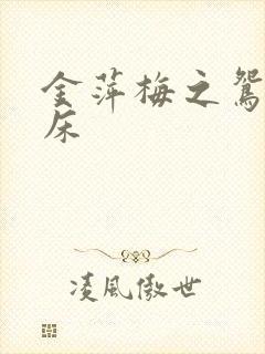 金萍梅之鸳鸯铣床