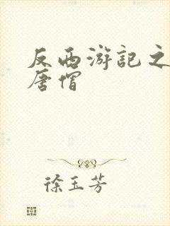 反西游记之混混唐僧