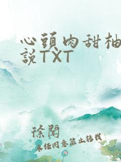心头肉甜柚子小说TXT