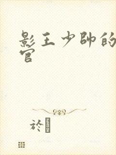 影王少帅的女长官