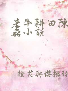 老牛耕田陈雪王磊小说