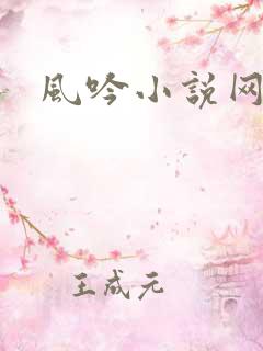 风吟小说网