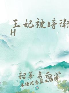 王妃被暗卫肉高H
