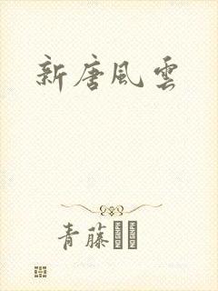 新唐风云
