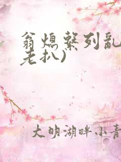 翁熄系列乱 (老扒)