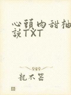 心头肉甜柚子小说TXT