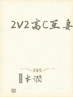 2V2高C互妻