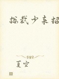 总裁少来招惹我