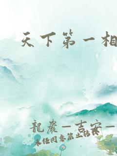 天下第一相书