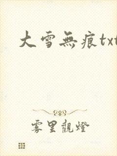 大雪无痕txt