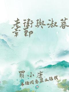 老卫与淑蓉全部章节