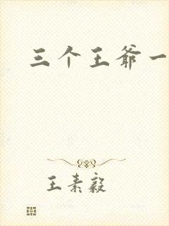 三个王爷一个妃