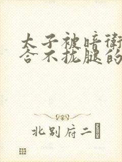 太子被暗卫c到合不拢腿的后果