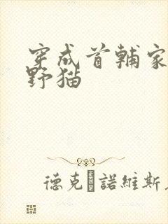 穿成首辅家的小野猫