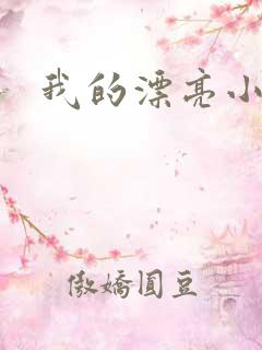 我的漂亮小后妈