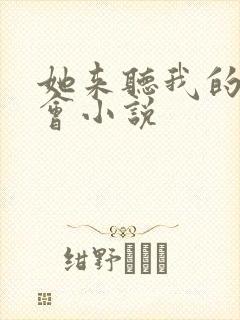 她来听我的演唱会小说