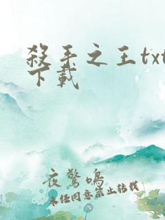 杀手之王txt下载