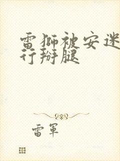 雷狮被安迷修强行掰腿