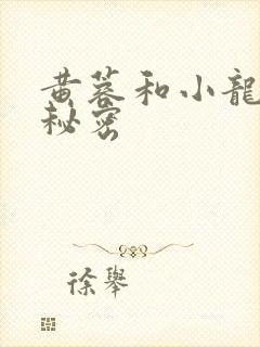 黄蓉和小龙女的秘密