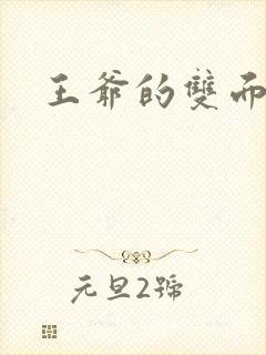 王爷的双面王妃