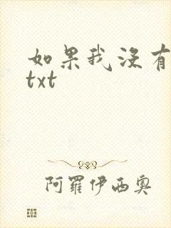 如果我没有爱过txt
