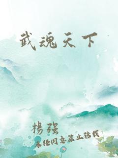 武魂天下