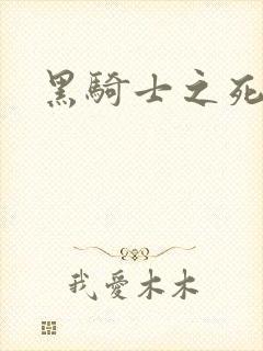 黑骑士之死