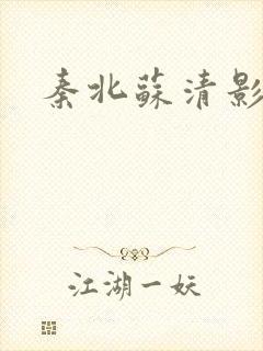 秦北苏清影小说