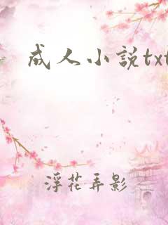成人小说txt