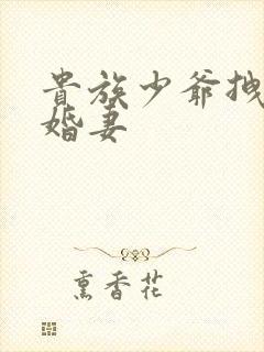 贵族少爷拽拽未婚妻