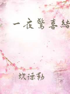 一夜惊喜结局