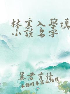 林寒入学填未婚小说名字