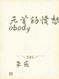 元首的愤怒之nobody