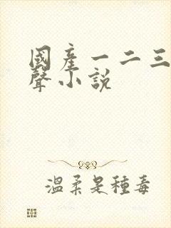 国产一二三区有声小说