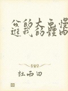 公的大龟慢慢挺进我的体内小说
