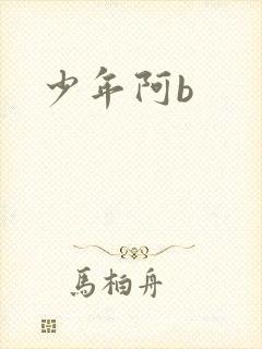 少年阿b