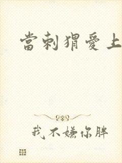 当刺猬爱上玫瑰