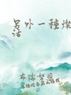 另外一种灿烂生活