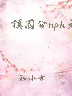 镇国公nph文