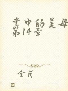 掌中的美母版主第14章