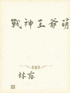 战神王爷萌虎妃