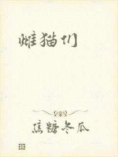 雌猫们