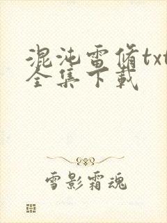 混沌雷修txt全集下载