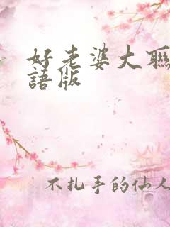 好老婆大联盟国语版