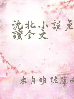 沈北小说免费阅读全文