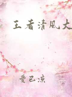 王者清风大结局